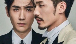 娱乐圈双男主,娱乐圈双男主的璀璨传奇